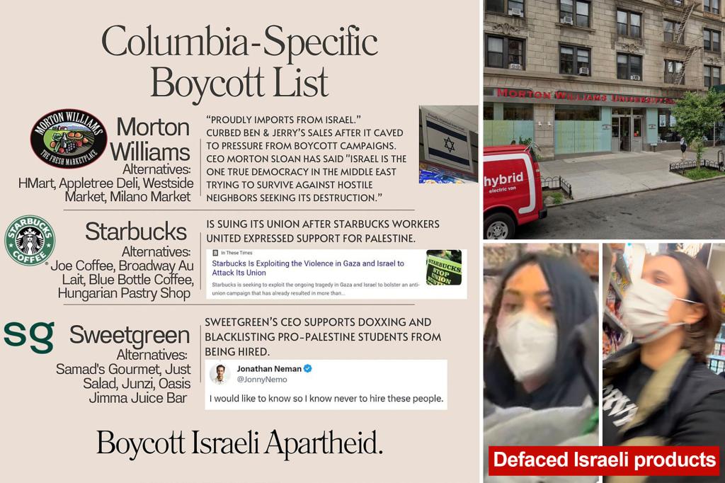 Pro-Palestinian protesters harassed NYC supermarket staff, defaced Israeli section: Jewish owner 