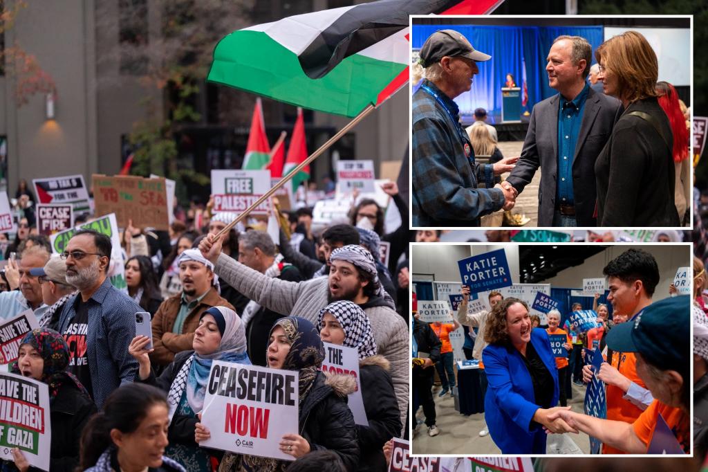 Protesters disrupt California Democratic Convention, call on party to demand Gaza ceasefire