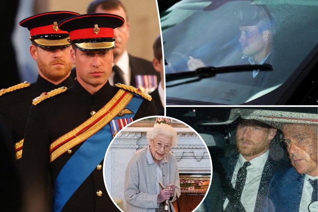Royal staffers ‘furious’ over book revelations about Prince Harry and William’s feud as Queen lay dying: report