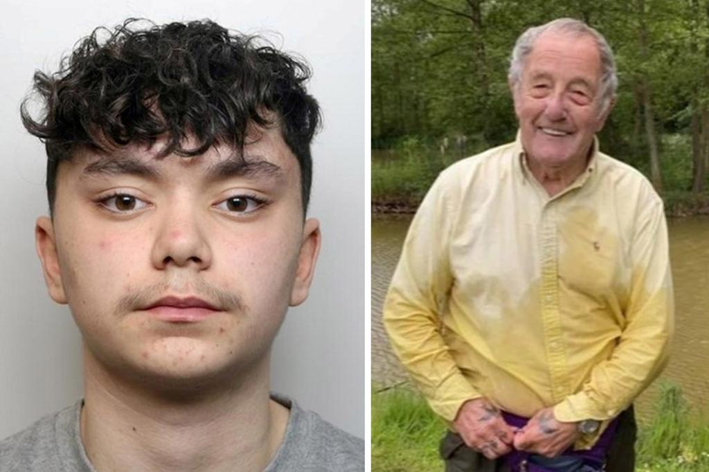 Shocking video shows moment UK teen kills veteran, 82, with single punch