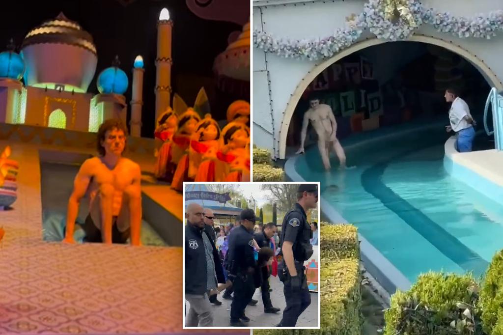 Streaker arrested after parading around Disneyland’s ‘It’s a Small World’ ride naked