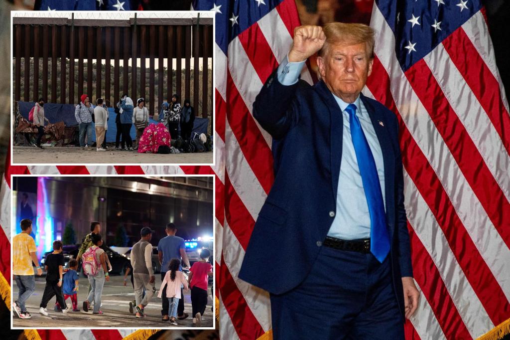 Trump plotting massive migrant sweeps, mega detention camps if elected: report