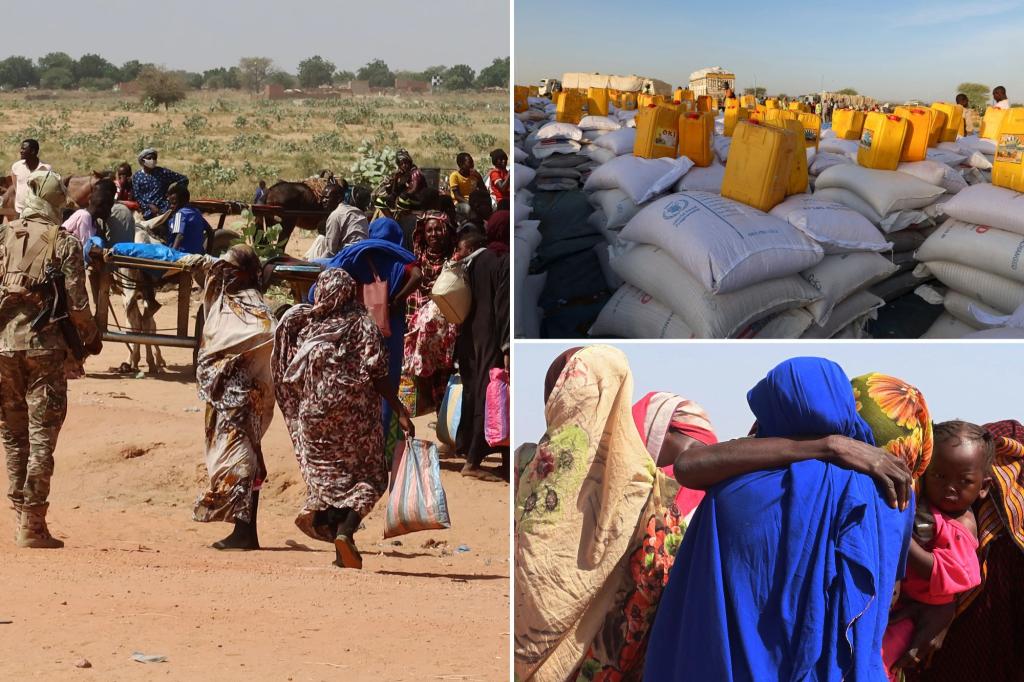UN warns food aid for 1.4 million refugees in Chad could end over limited funding