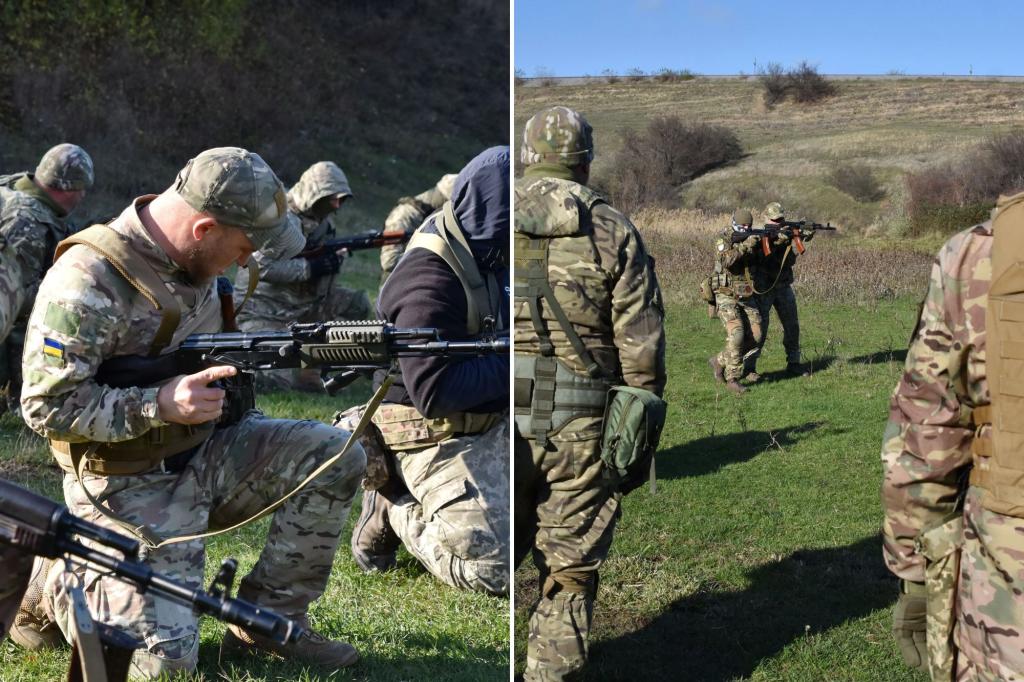 Ukrainian soldiers training in secret location in the north to take out Russian drones: report