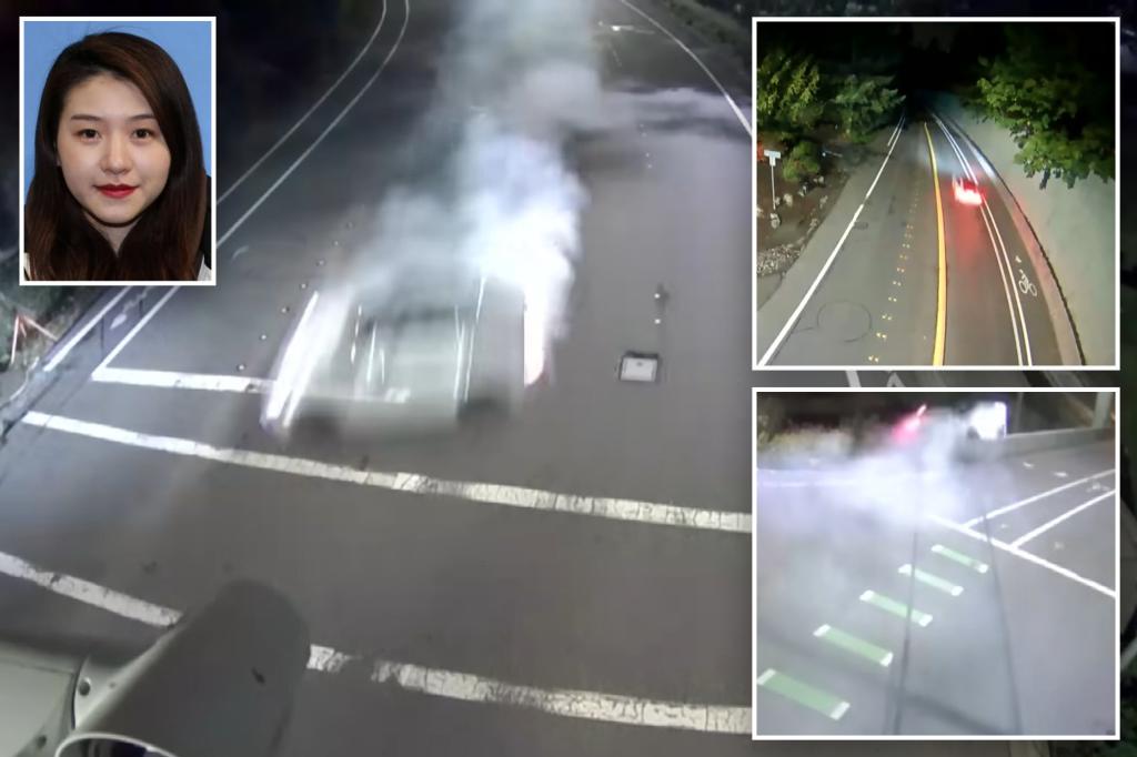 Video captures high-speed Porsche crash of Chinese woman who later fled US