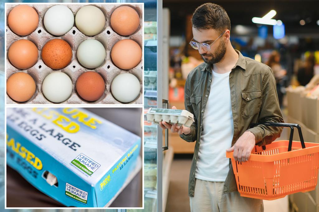Which eggs are the healthiest for you? Nutritionists crack the case