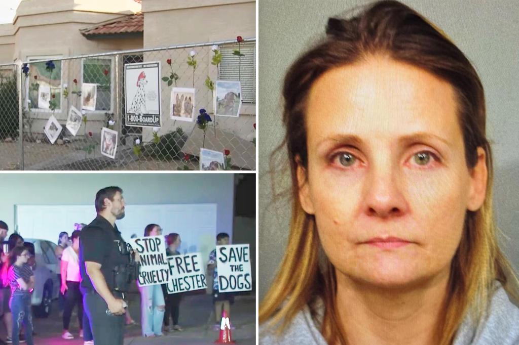 Woman accused of abusing dozens of dogs and storing dead pups in home freezer is rearrested, faces up to 95 charges