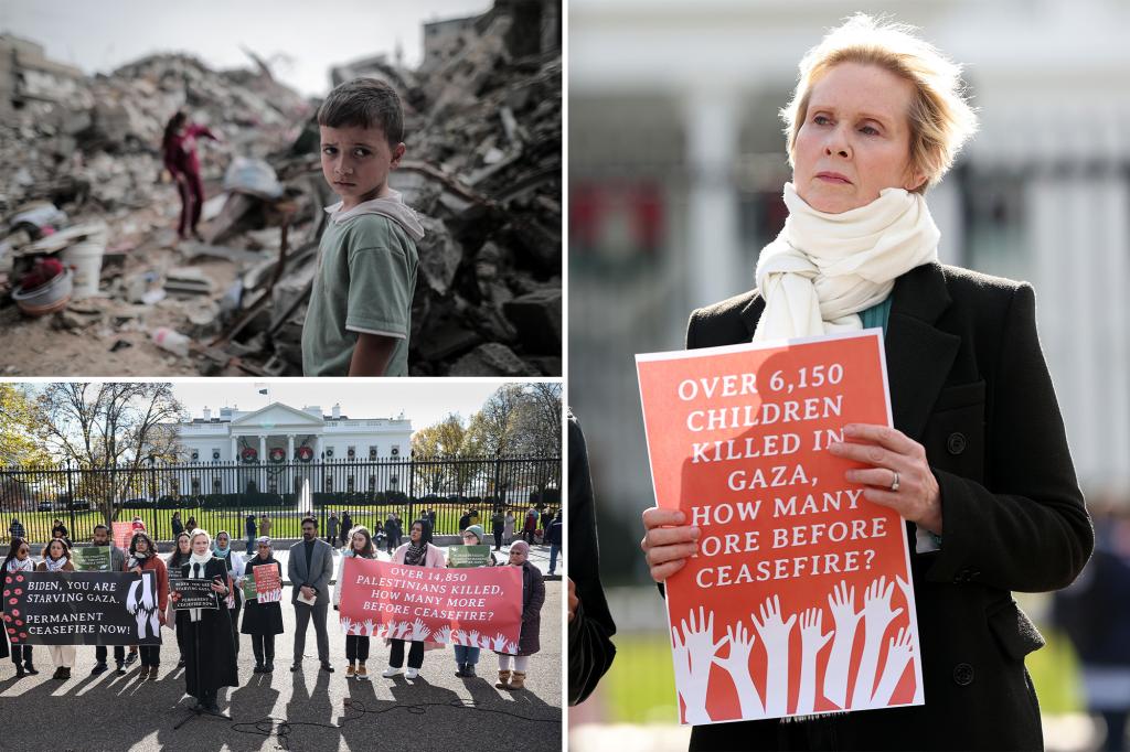 ‘Sex and the City’ star Cynthia Nixon begins hunger strike for Gaza cease-fire