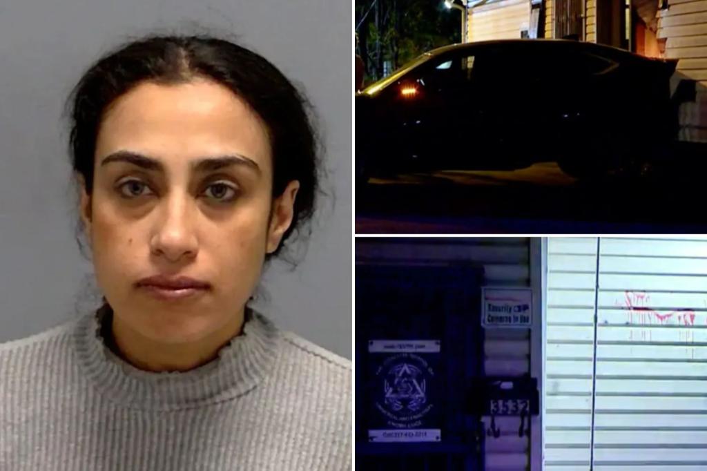 ‘Terrorist’ woman allegedly plowed car into what she thought was Jewish school: cops