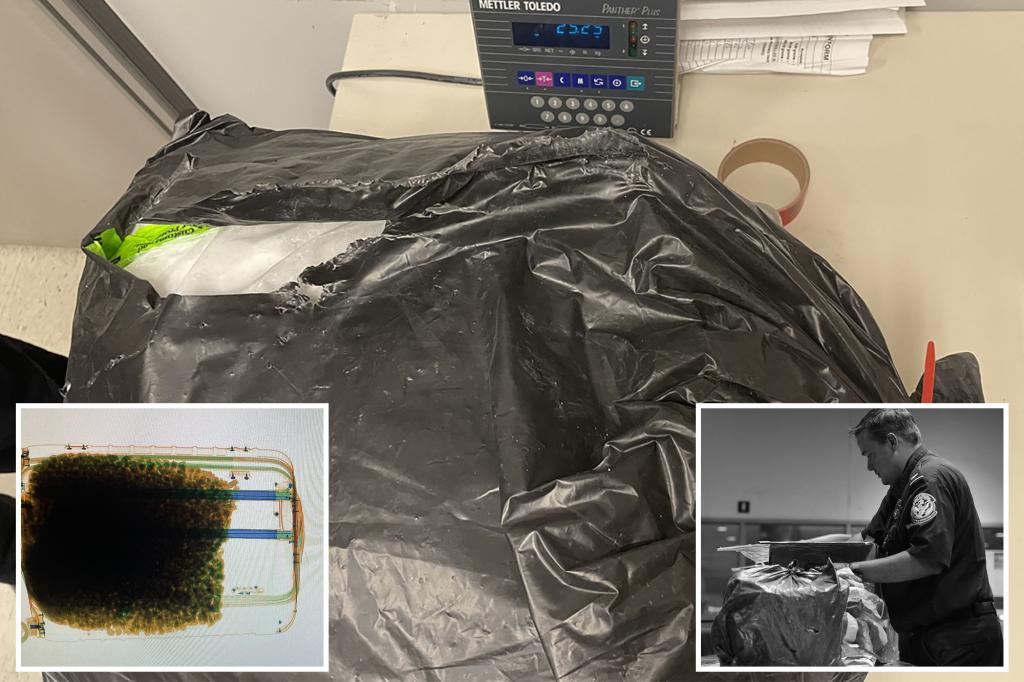 110 pounds of ketamine worth $4M found in passenger’s bags at Detroit airport
