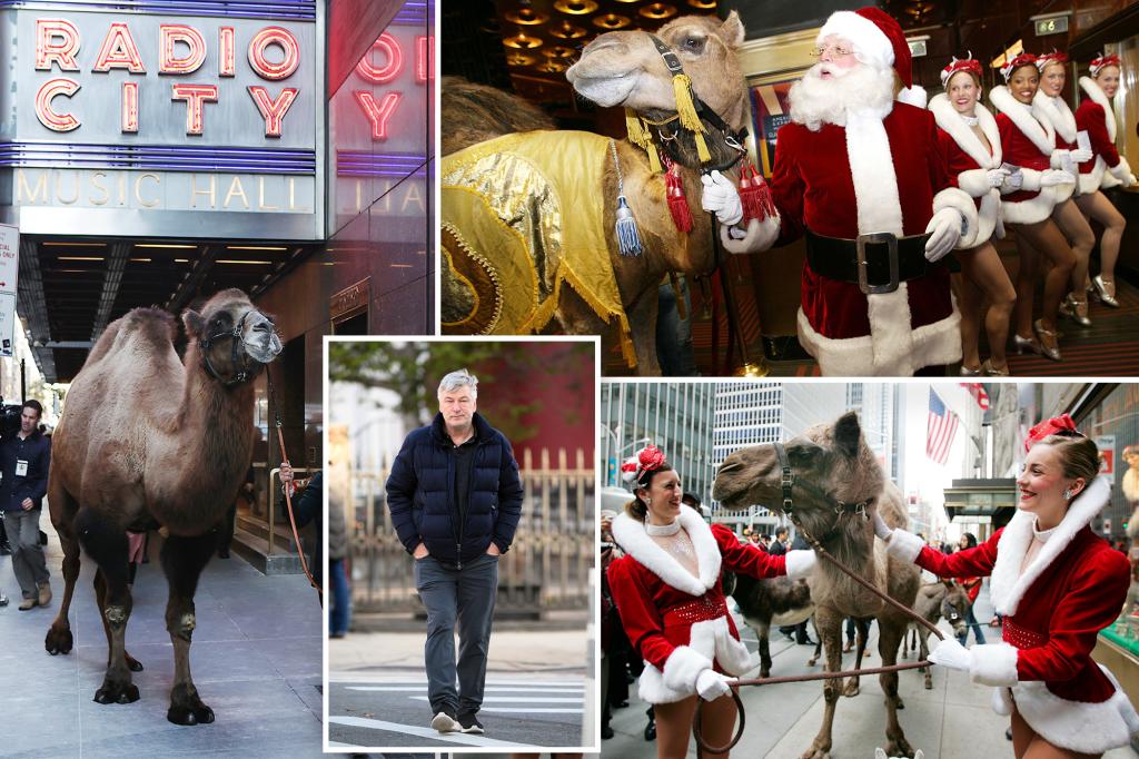 Alec Baldwin, PETA send letter demanding Radio City Music Hall stop using live animals in Christmas show