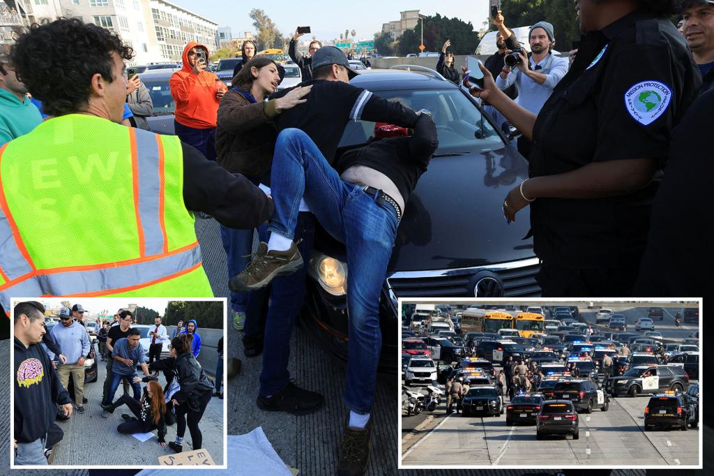 Angry drivers try to move Jewish protesters who shut down LA freeway during rush hour