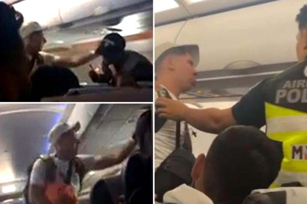 Australian passenger pulled off flight after fighting other flyer on plane