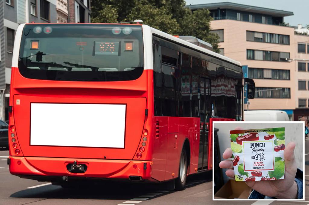 Bus driver who passed out behind the wheel from weed gummies gets probation