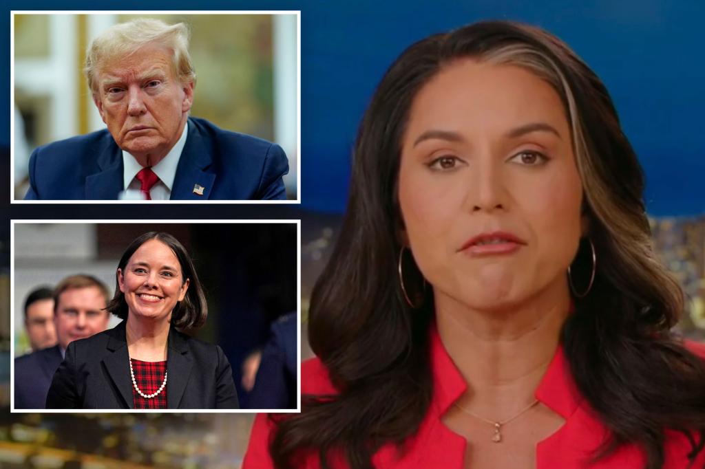 Democrats ‘will stop at nothing’ to stay in power, would like to remove Trump from the ballot altogether: Tulsi Gabbard