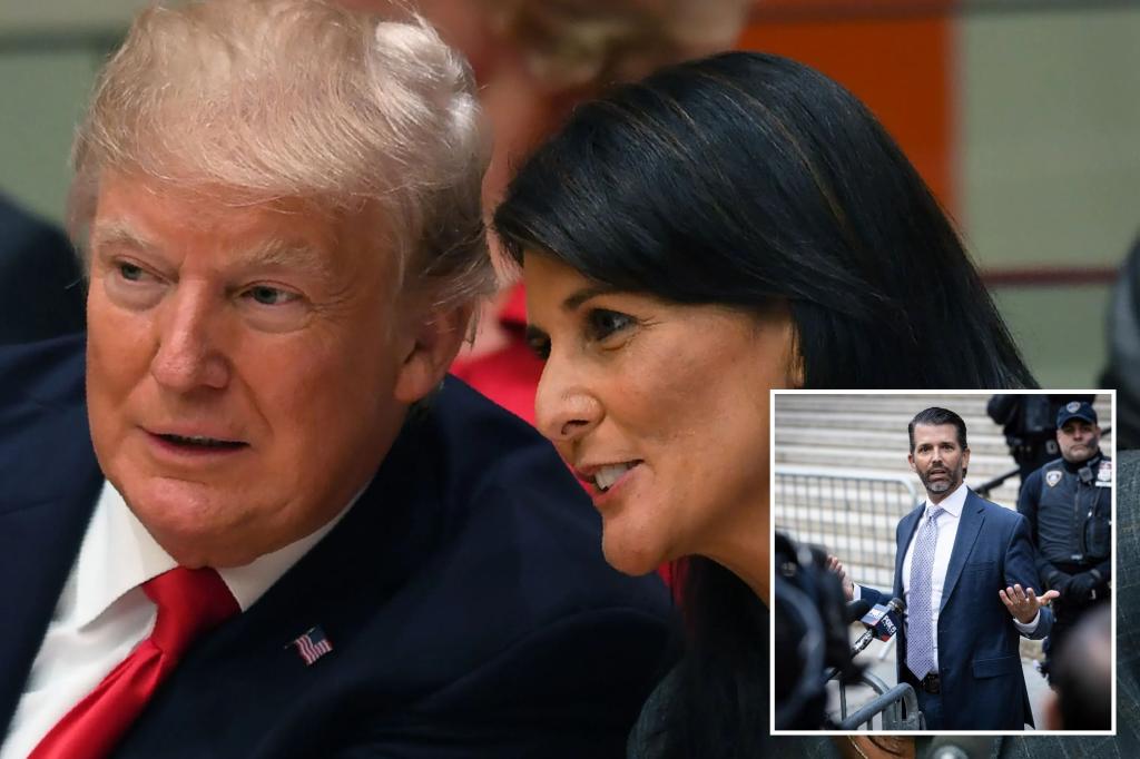 Donald Trump Jr. puts his dad on notice over buzz of Nikki Haley as VP pick