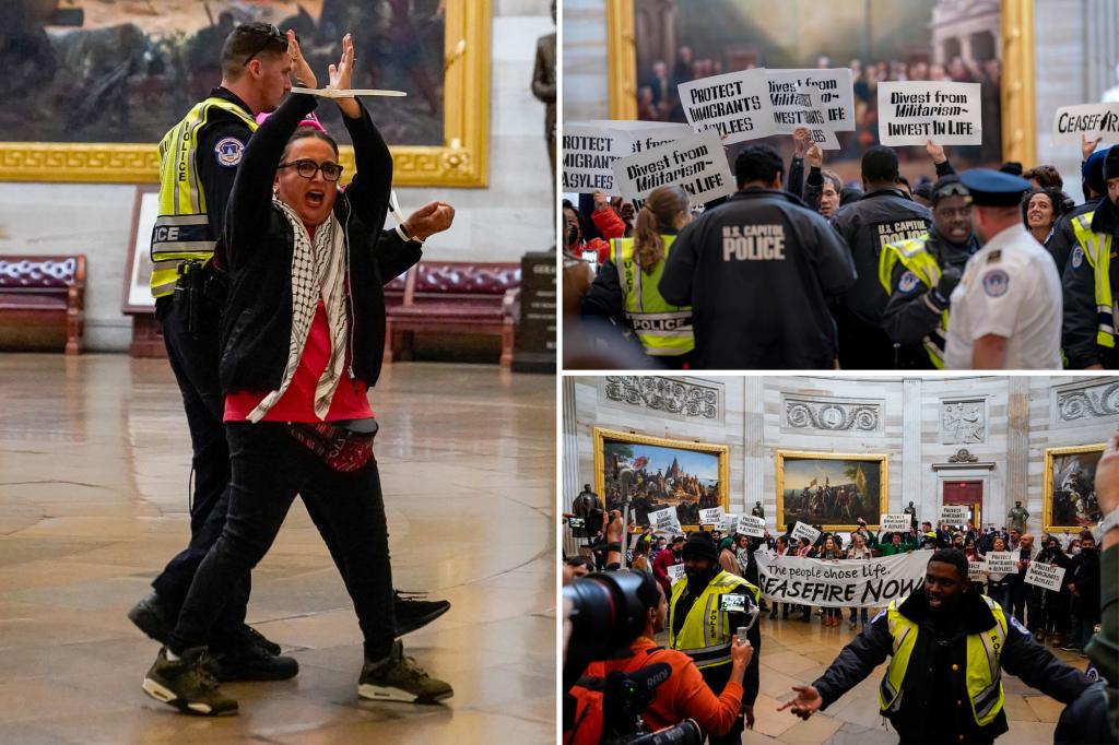 Dozens arrested in Capitol Rotunda at anti-Israel rally led by Linda Sarsour
