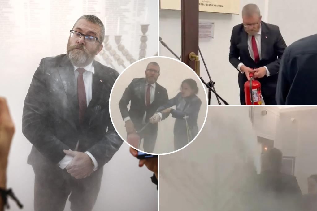 Far-right lawmaker uses fire extinguisher to douse Hanukkah candles in Polish parliament