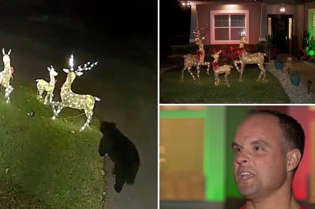 Florida bear attacks, takes off with reindeer Christmas decoration