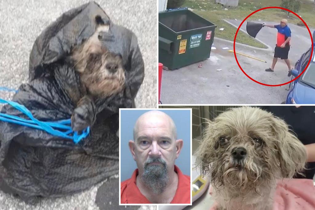 Florida man caught on camera throwing tiny Shih Tzu into garbage dumpster, police say