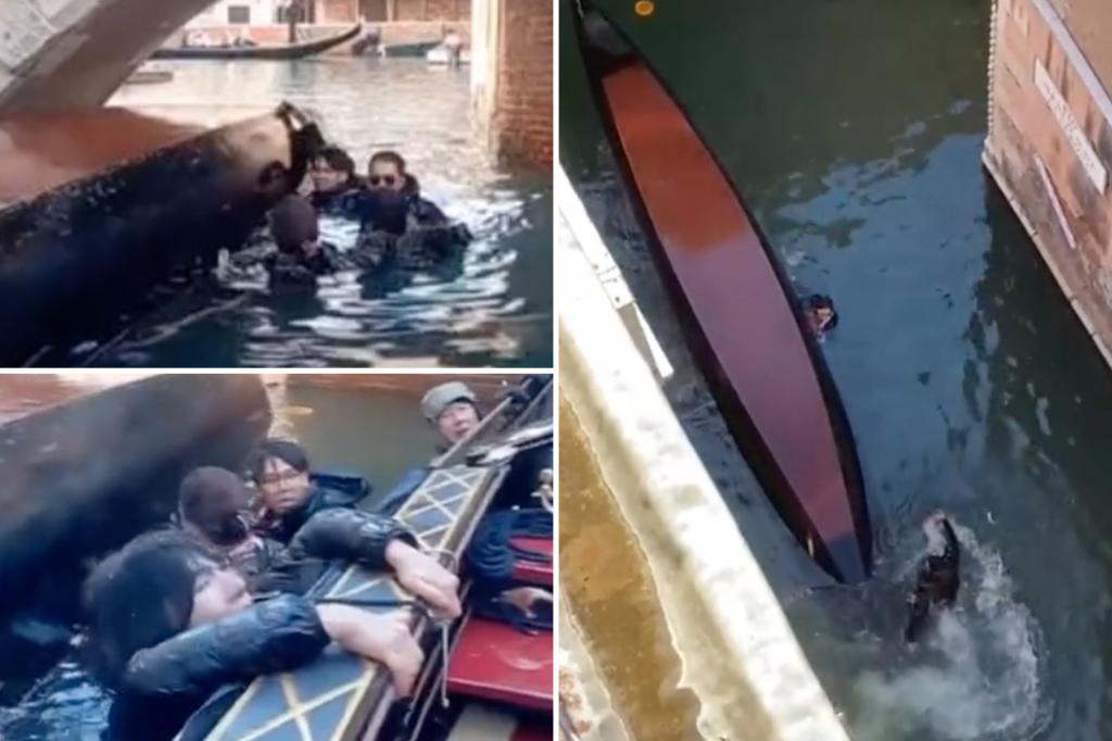 Gondola packed with tourists capsizes in Venice after passengers refused to stop taking selfies