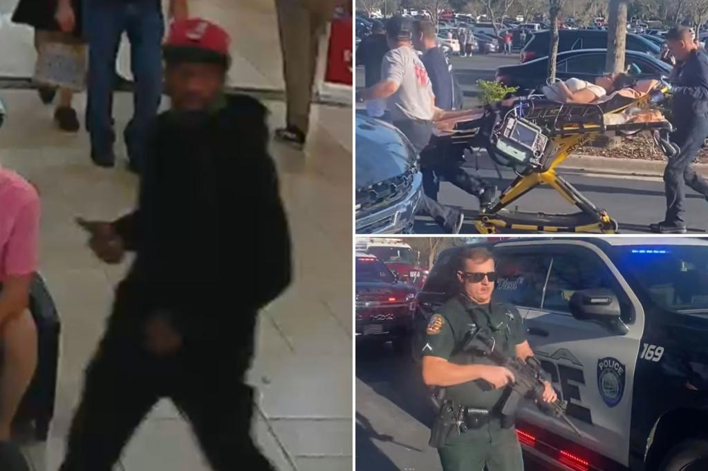 Gunman flees Florida mall after killing 1, injuring 1 in possible targeted attack: police