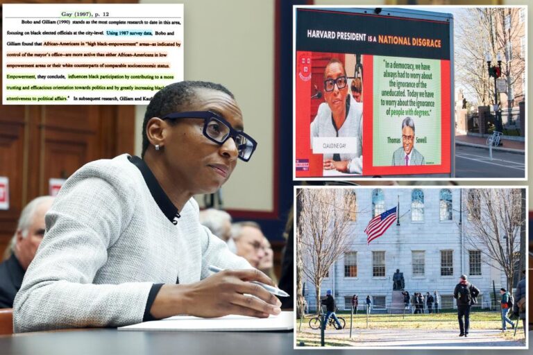 Harvard University president Claudine Gay accused of 40 acts of