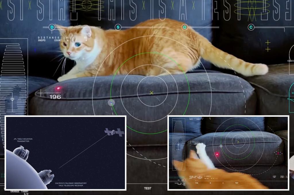 How NASA streamed a video of a cat named Taters from deep space