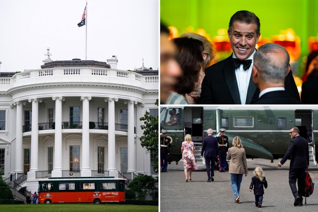 Hunter Biden’s visits to White House, Marine One missing from visitor logs — unlike other relatives