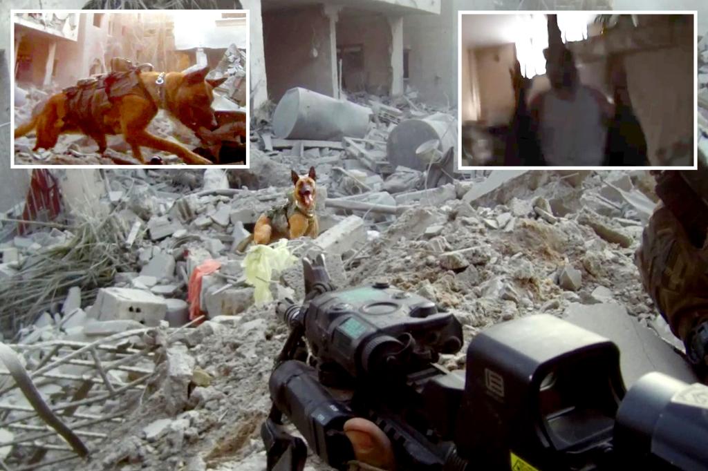 Israeli army canines work as four-legged scouts, securing buildings and even taking out Hamas terrorists