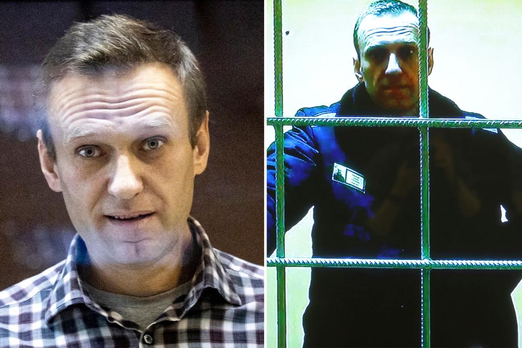 Jailed Russian opposition leader Alexei Navalny hit with new charges