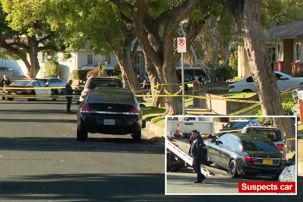 LA homeowner fatally shoots suspect during attempted burglary as horrified child, grandma watch