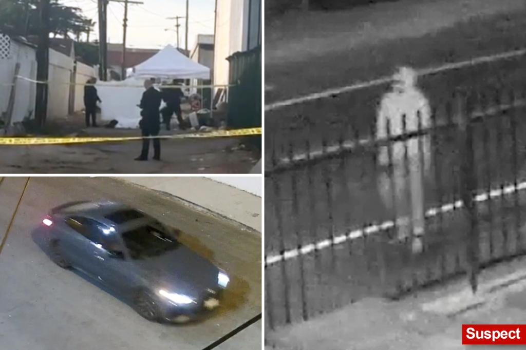 Los Angeles ‘serial killer’ suspected of slaying 3 homeless people in four-day spree: ‘Do not sleep alone tonight’