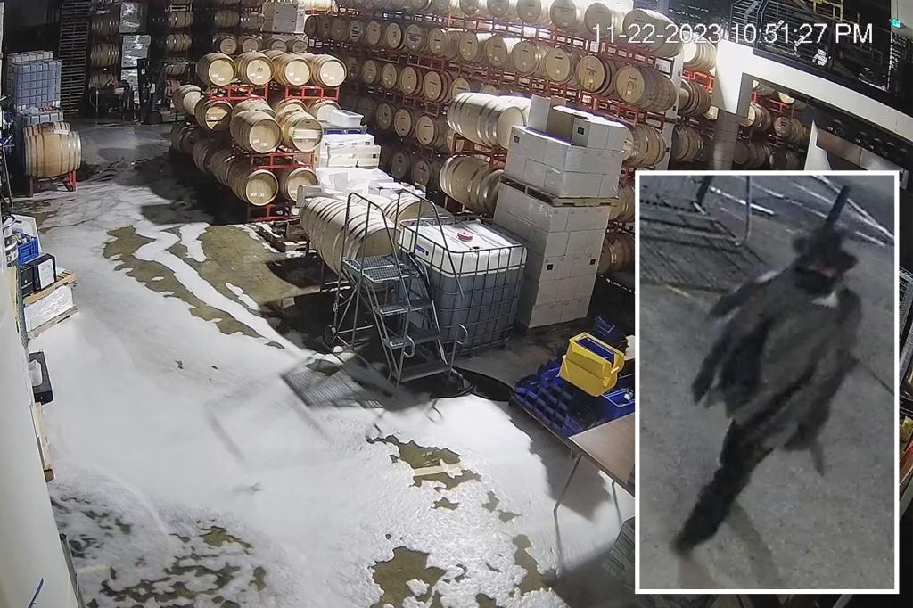 Man dressed as cowboy burglarizes family-run winery, destroys $600K in wine