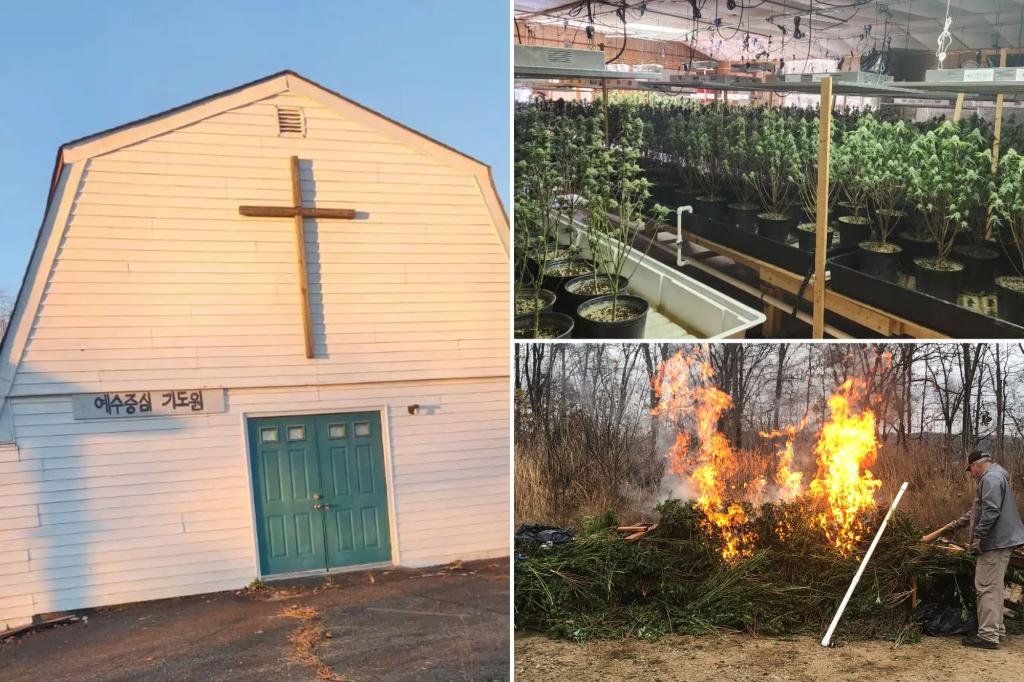 Massive marijuana grow operation with ‘booby traps’ discovered in Tennessee church
