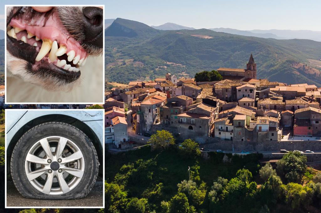 Mystery tire slashings had tiny Italian town fearing the Mafia — but it turned out to be a dog with gingivitis