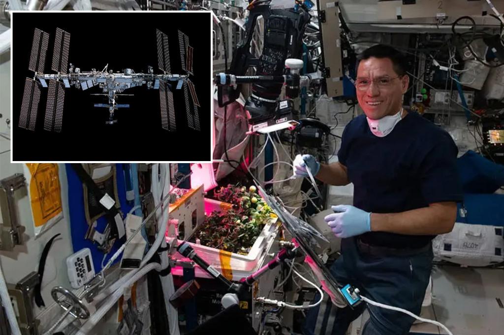 NASA astronauts finally find tomato that was lost in space for months