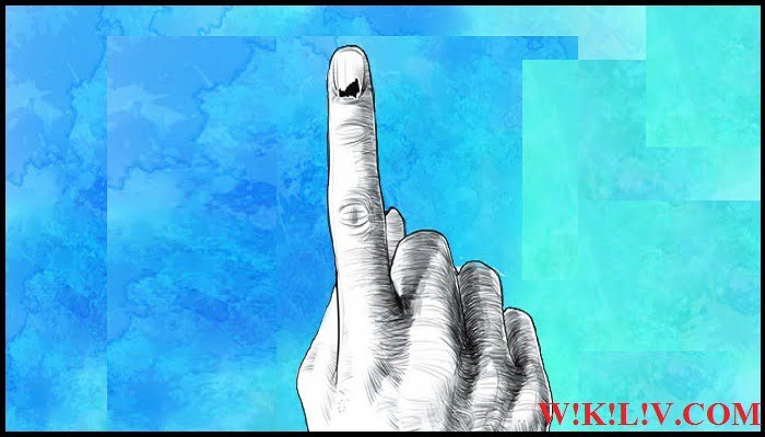 national voters day essay in english