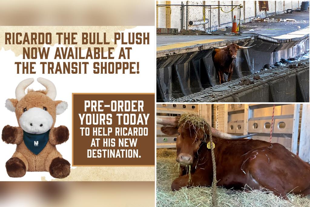New Jersey Transit selling ‘Ricardo the bull’ plush toy after escaped animal halted trains