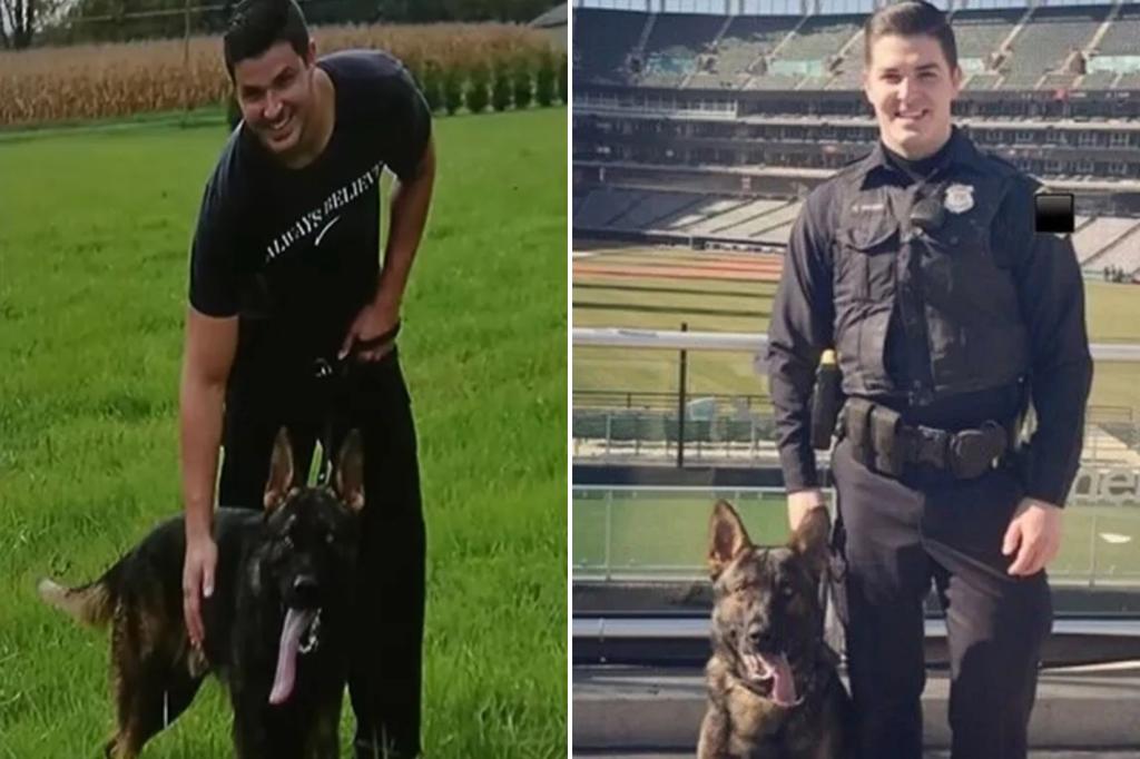 Ohio city denies desperate cop’s $10K offer to keep beloved K-9 partner: ‘Been with us through everything’