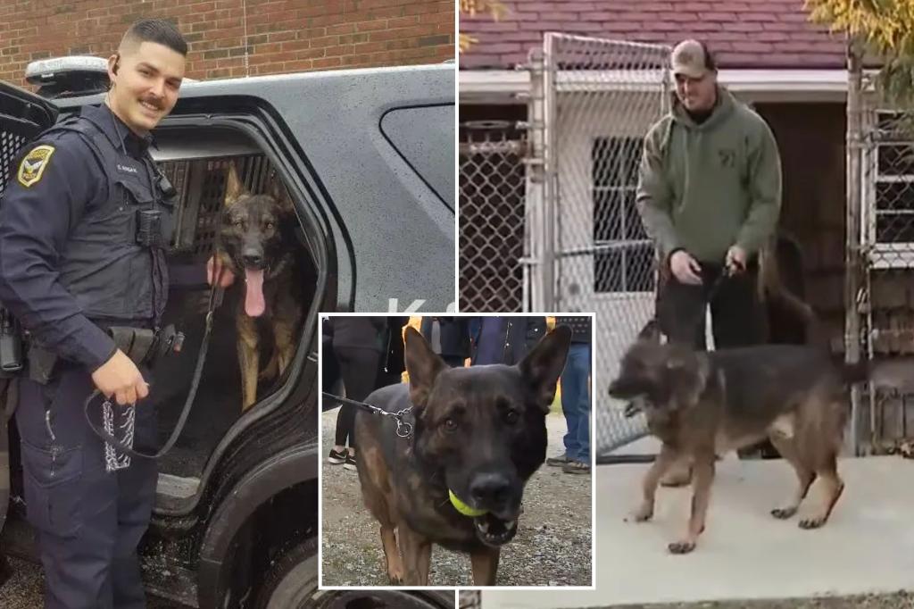 Ohio cop reunited with K-9 partner after city accepts $16K deal amid ownership battle: ‘Happy to have our family back’