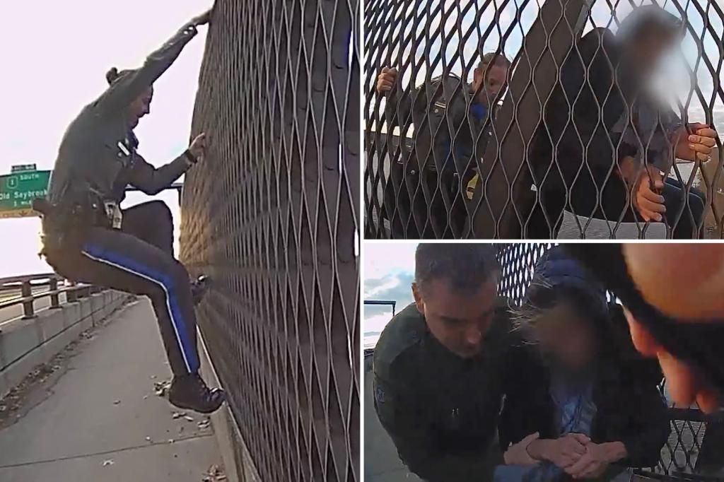 Pulse-pounding video shows moment Connecticut police officers stop woman from jumping off 100-foot bridge