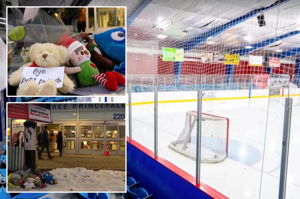 QuÃ©bec boy, 11, dies after being hit by ice hockey puck in the neck