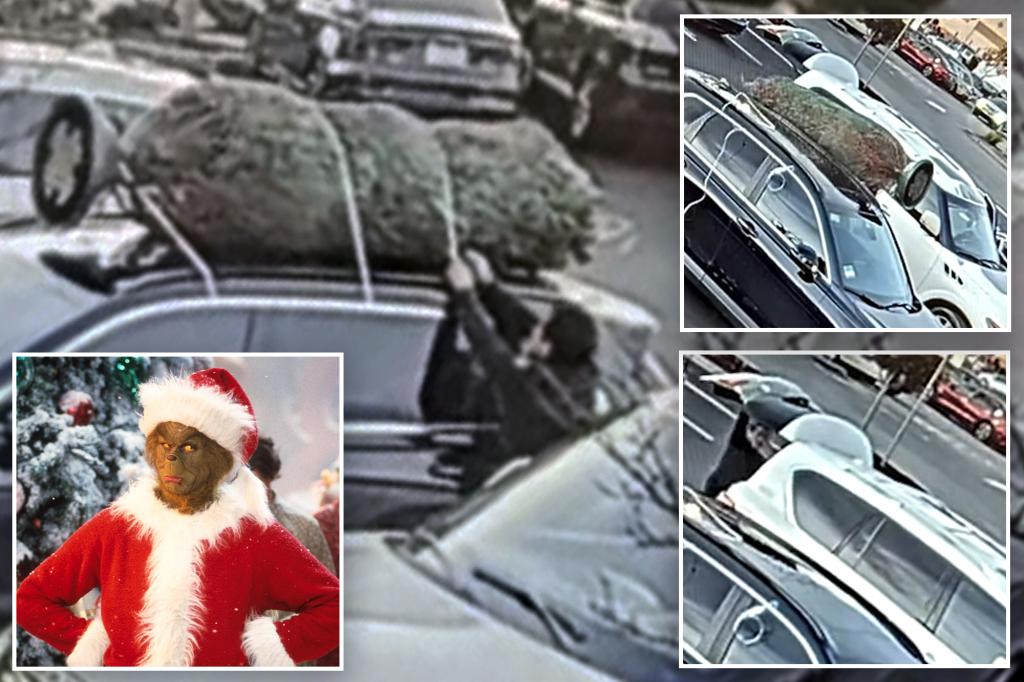 Real-life Grinch steals California family’s Christmas tree that was tied to car