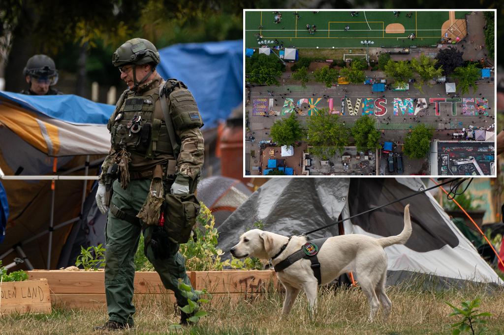 Seattle closes Black Lives Matter garden amid rampant homelessness, drug use and vandalism