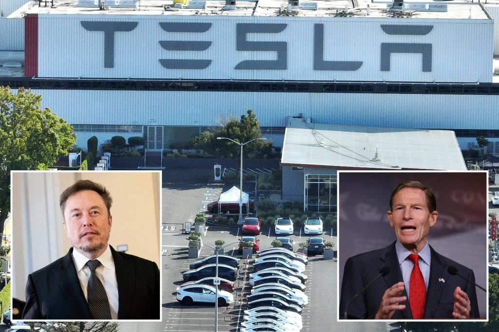 Senators demandÂ TeslaÂ recalls over defective parts, slam Elon Musk for blaming customers
