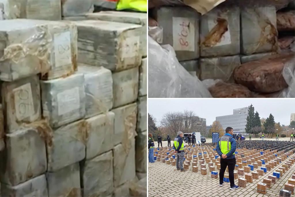 Spanish police seize 7.5 tons of cocaine hidden in frozen tuna