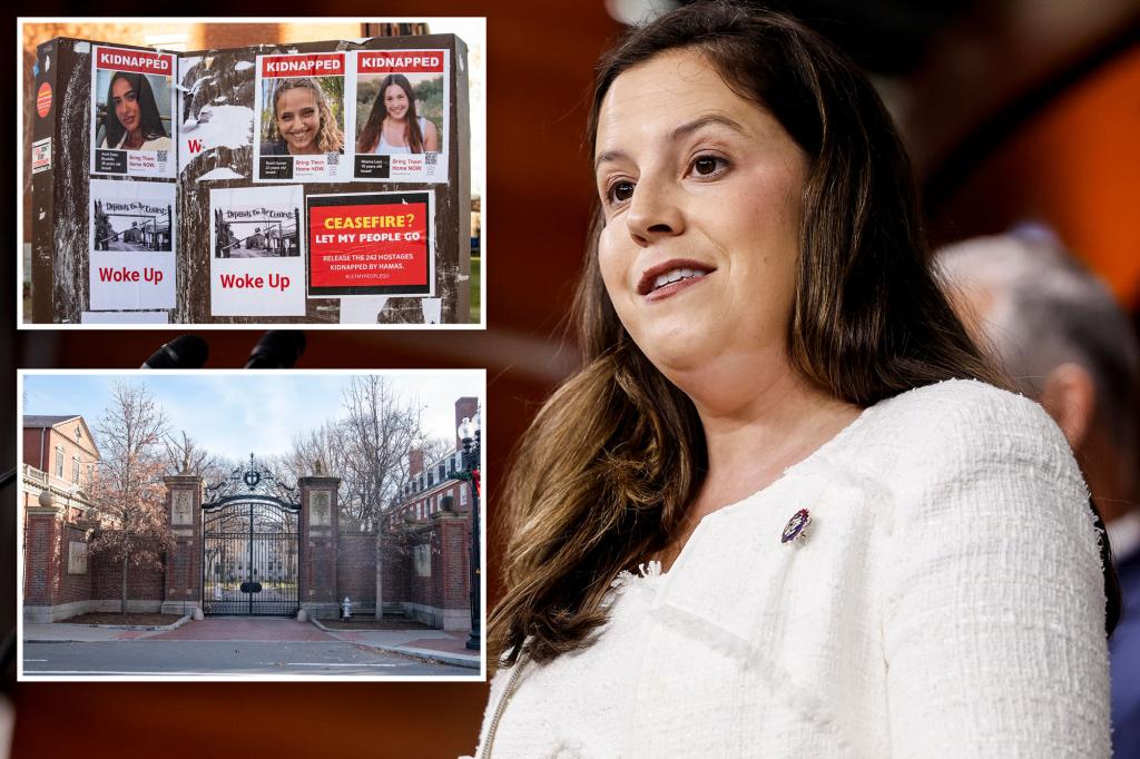 Stefanik slams Harvard prof suggesting school doesn’t need to cooperate with congressional probes: ‘Harvard is funded with billions of taxpayer dollars’ 