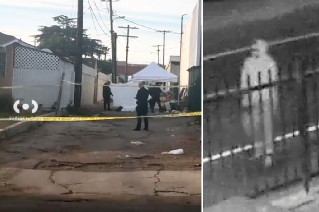 Suspected serial killer arrested for murdering 3 sleeping homeless men in Los Angeles during four-day killing spree: cops