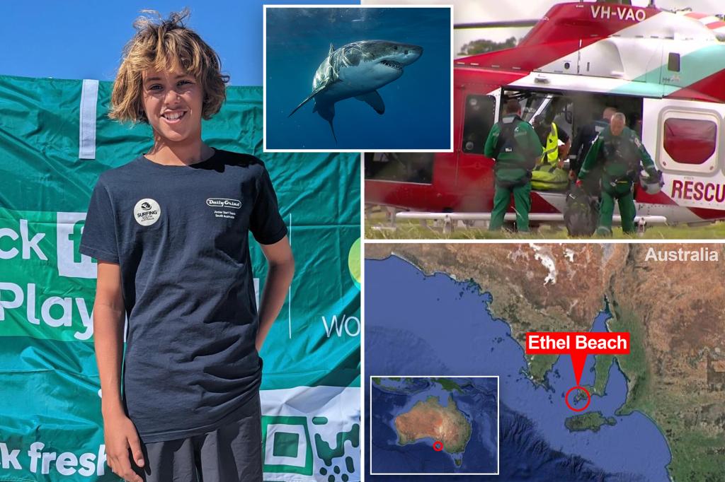 Teen surfer dies after he’s mauled by shark in front of his dad in Australia